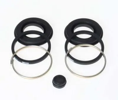 Прокладка, поршень корпуса скобы тор BUDWEG CALIPER купить