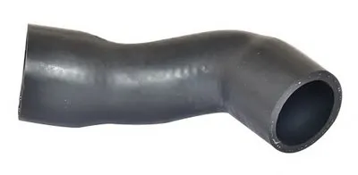 Трубка нагнетаемого воздуха BUGIAD купить