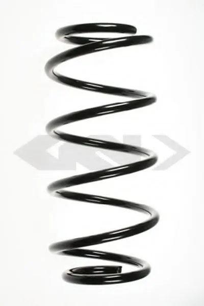 винтовая пружина SPIDAN купить