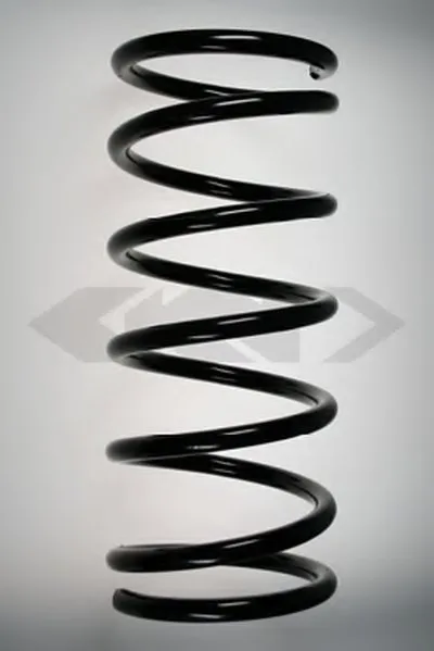 винтовая пружина SPIDAN купить