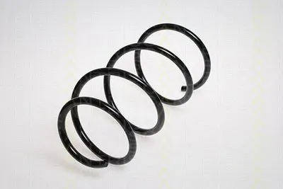 винтовая пружина TRISCAN купить