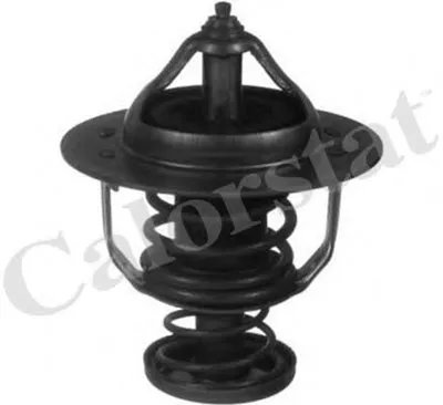 Термостат, охлаждающая жидкость CALORSTAT by Vernet купить