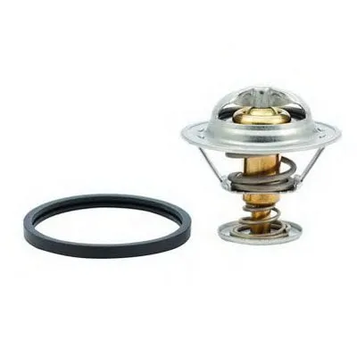 Термостат, охлаждающая жидкость FISPA купить