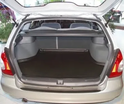 Лоток багажного/грузового отсека Carbox Form CARBOX купить