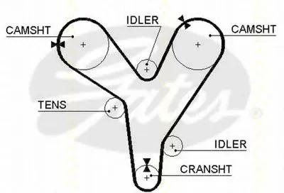 Ремень ГРМ TRISCAN купить