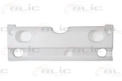 Носитель, буфер BLIC купить