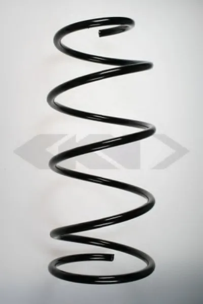 винтовая пружина SPIDAN купить
