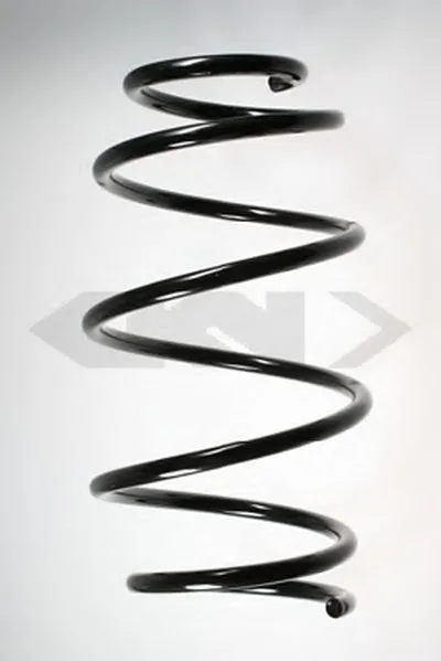 винтовая пружина SPIDAN купить