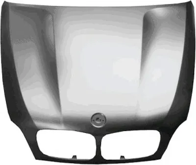 Капот двигателя VAN WEZEL купить