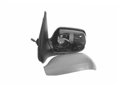 Наружное зеркало VAN WEZEL купить