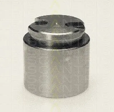 Поршень, корпус скобы тормоза TRISCAN купить