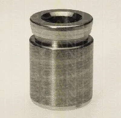 Поршень, корпус скобы тормоза TRISCAN купить