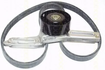 Поликлиновой ременный комплект TRISCAN купить