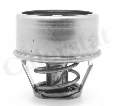 Термостат, охлаждающая жидкость CALORSTAT by Vernet купить