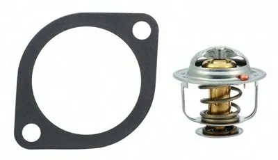 Термостат, охлаждающая жидкость HOFFER купить