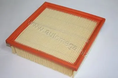 Воздушный фильтр AutoMega Premium AUTOMEGA купить