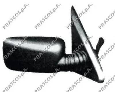 Наружное зеркало PRASCO купить