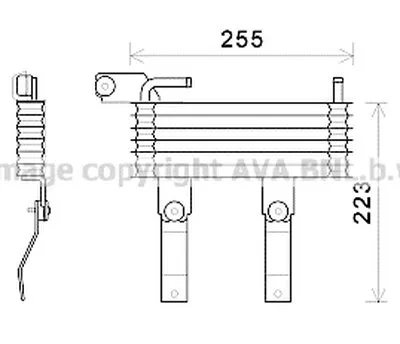 Масляный радиатор, автоматическая коробка передач AVA QUALITY COOLING купить
