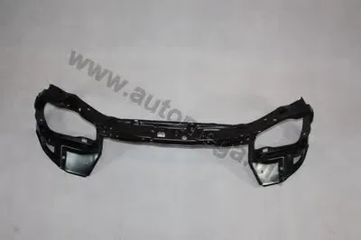 Облицовка передка AutoMega Premium AUTOMEGA купить