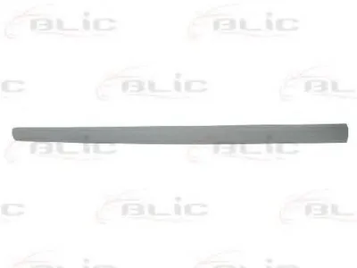 Облицовка / защитная накладка, дверь BLIC купить