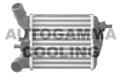 Интеркулер AUTOGAMMA купить