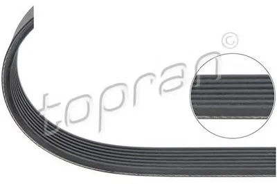 V-Ribbed Belts TOPRAN купить