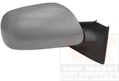 Наружное зеркало VAN WEZEL купить