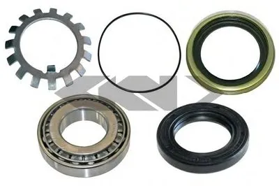 Комплект подшипника ступицы колеса SPIDAN купить