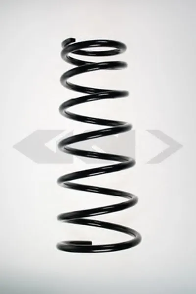 винтовая пружина SPIDAN купить