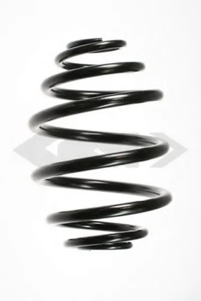 винтовая пружина SPIDAN купить