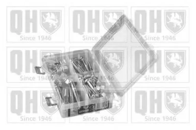 Комплект зажимных болтов, несущий / направляющий шарнир QUINTON HAZELL купить