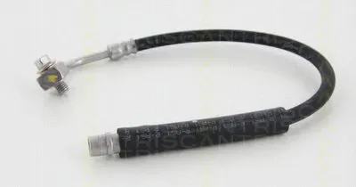 Тормозной шланг TRISCAN купить