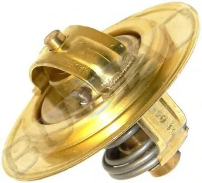 Термостат, охлаждающая жидкость BUGIAD купить