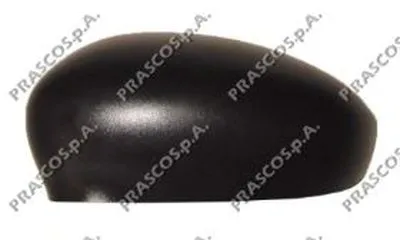 Покрытие, внешнее зеркало PRASCO купить