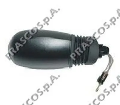 Наружное зеркало PRASCO купить