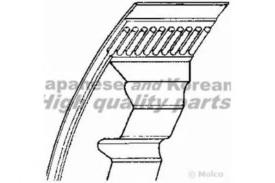 V-Ribbed Belts ASHUKI купить