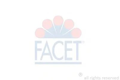 Катушка зажигания FACET купить