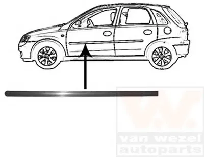 Облицовка / защитная накладка, дверь VAN WEZEL купить