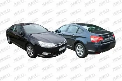 Ручка двери PRASCO купить