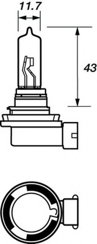 Лампа накаливания, основная фара; Лампа накаливания, противотуманная фара MOTAQUIP купить