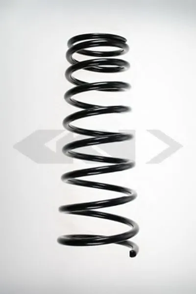 винтовая пружина SPIDAN купить