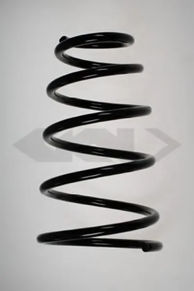 винтовая пружина SPIDAN купить
