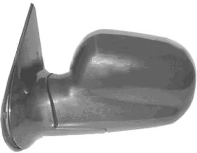 Наружное зеркало VAN WEZEL купить