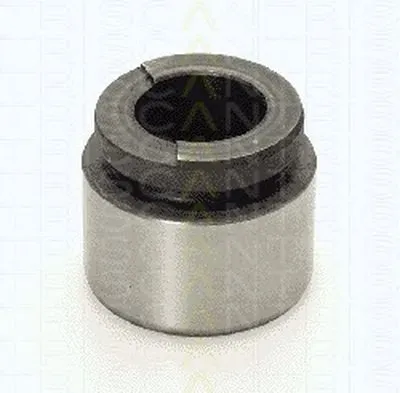 Поршень, корпус скобы тормоза TRISCAN купить