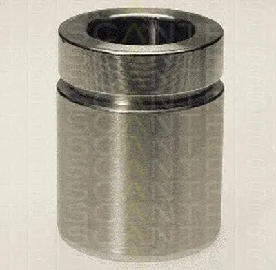 Поршень, корпус скобы тормоза TRISCAN купить