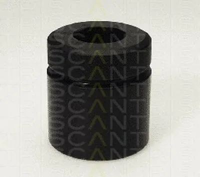 Поршень, корпус скобы тормоза TRISCAN купить