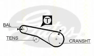 Ремень ГРМ TRISCAN купить