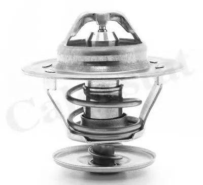 Термостат, охлаждающая жидкость CALORSTAT by Vernet купить