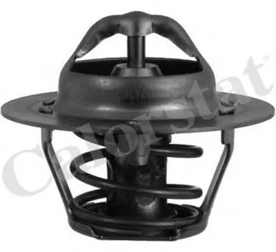 Термостат, охлаждающая жидкость CALORSTAT by Vernet купить