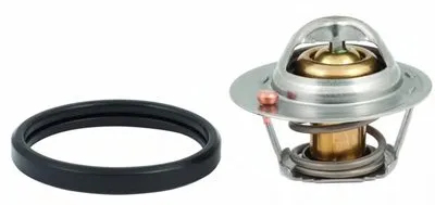 Термостат, охлаждающая жидкость MEAT & DORIA купить